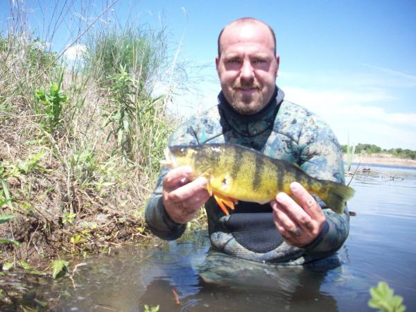 New World Record Yellow Perch, 2011, 2 Pounder