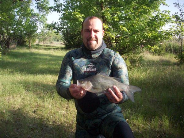 New State Record White Bass 2011