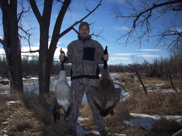 First Geese of 2011