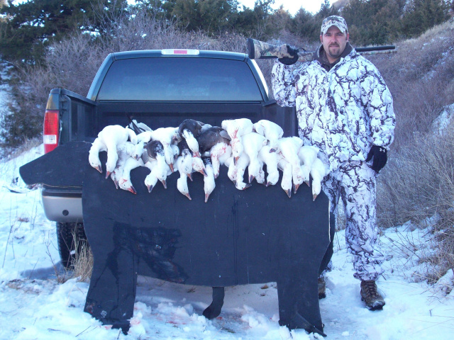 Snow goose hunt in the snow 2011