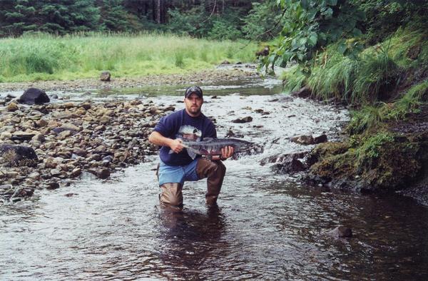 Alaskan Chum Salmon