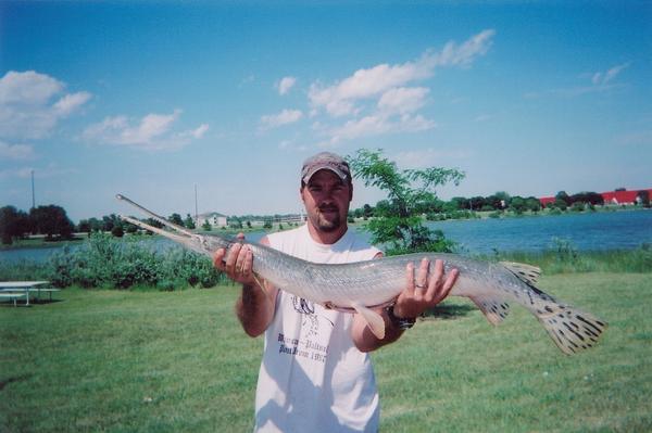 13.5 Lb Longnose Gar