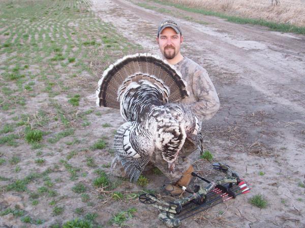 2010 Smokey Bearded Hen