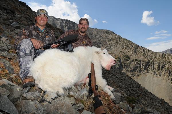 2008 MONTANA MOUNTAIN GOAT