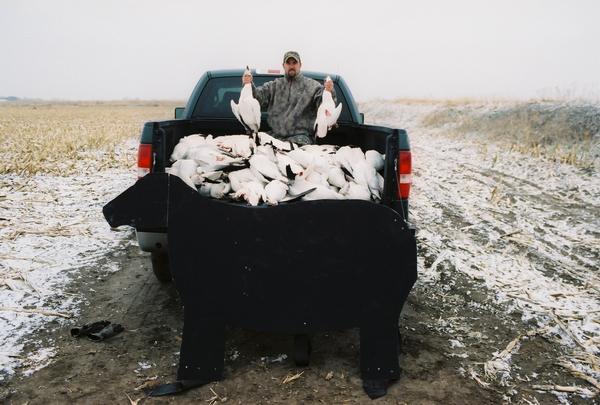2009 Spring Snow Goose Hunt