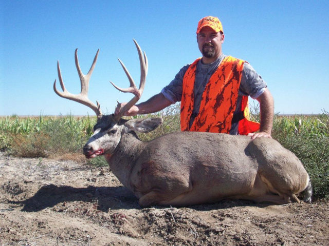 2011 Kansas Muley