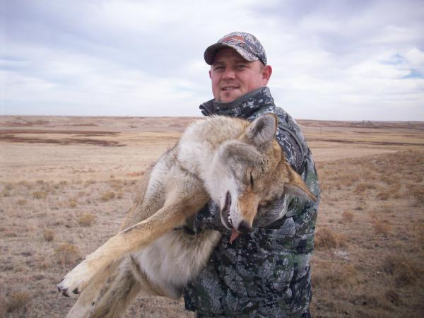 2012 Coyote, Shane