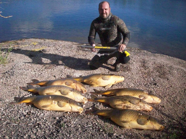 First day out 2013, 7 Carp all over 20 pounds