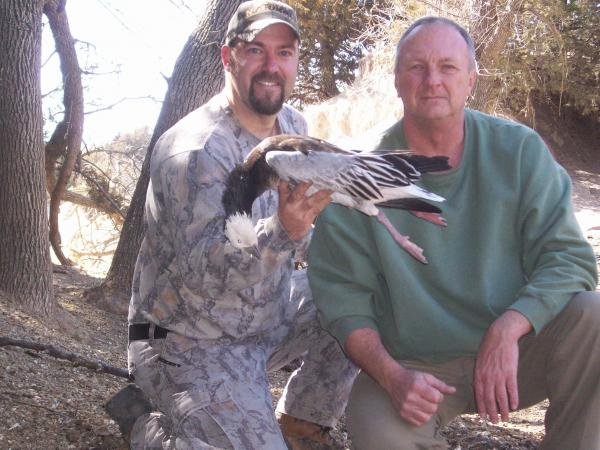 Copper and Noble, Blue Phase Ross Goose