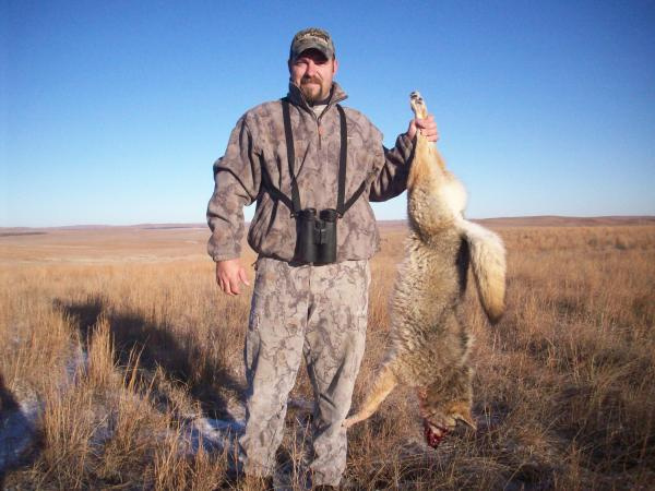 Winter 2011 Sandhills Coyote