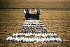 SPRING SNOW GOOSE HUNT