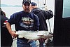 Alaskan Silver Salmon