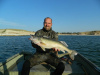 My Biggest Walleye to date 2012