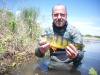 New World Record Yellow Perch, 2011, 2 Pounder