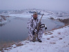 Winter 2011 Snow Day Drake Goldeneye