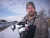 Winter 2011, Drake Bufflehead